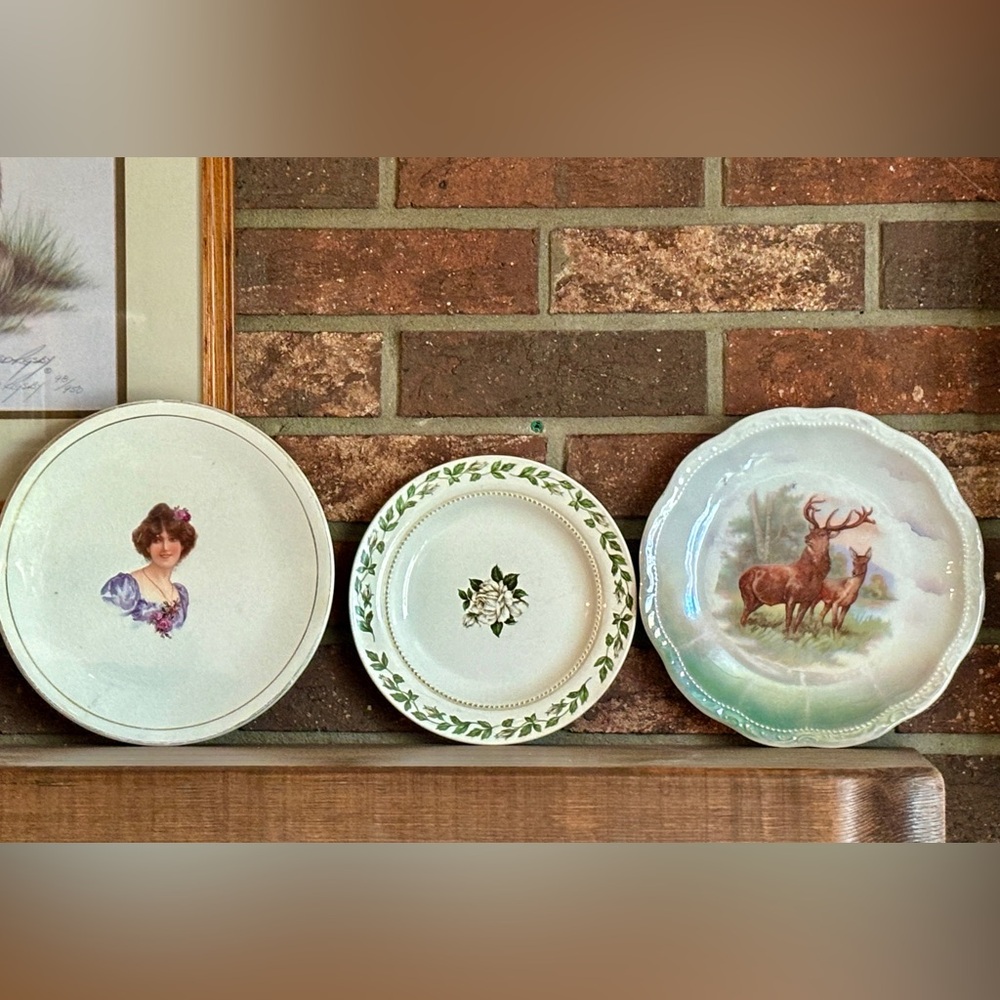 Lot of 3 Misc Antique and Vintage Plates.